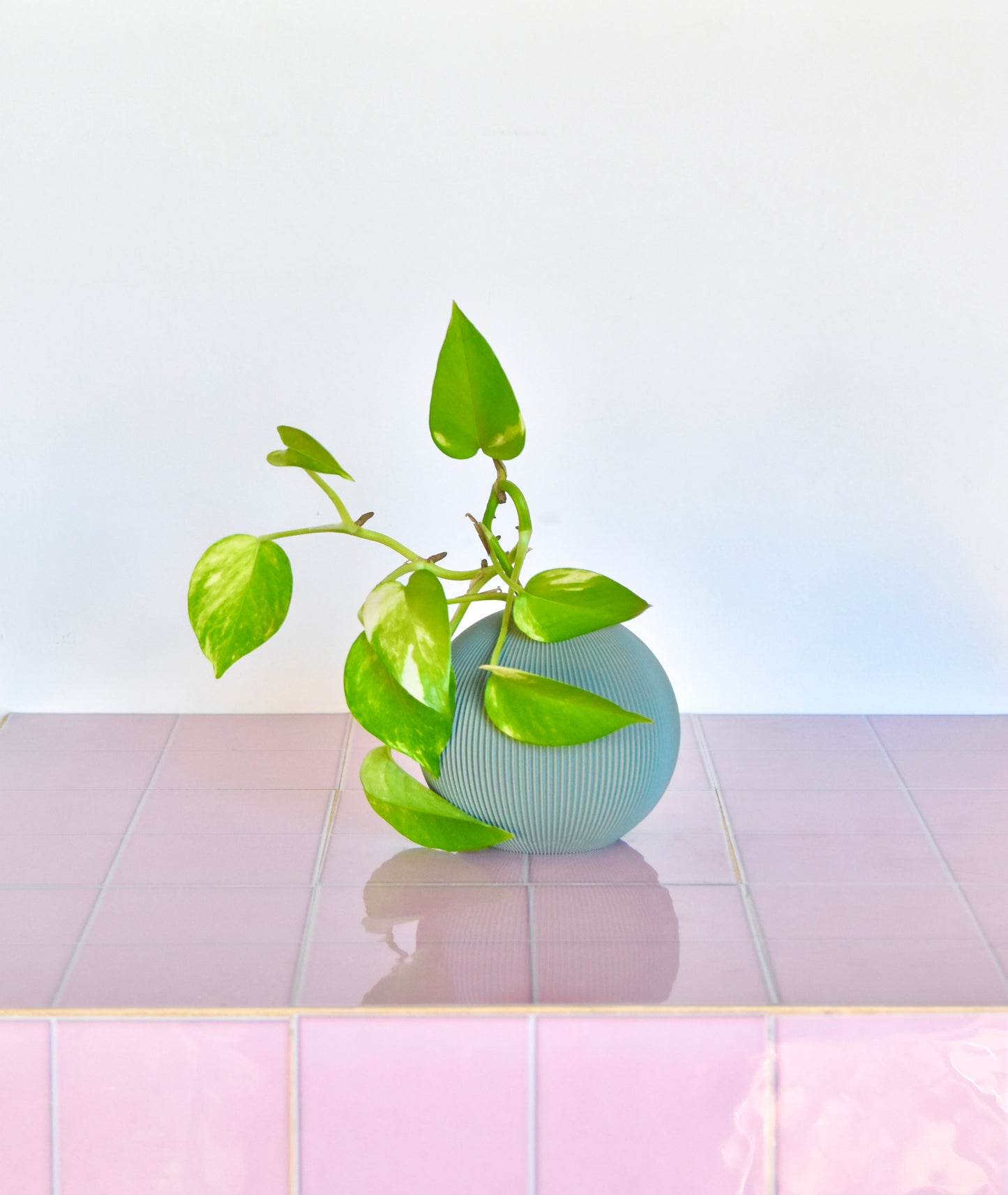 Vaso MINI POT