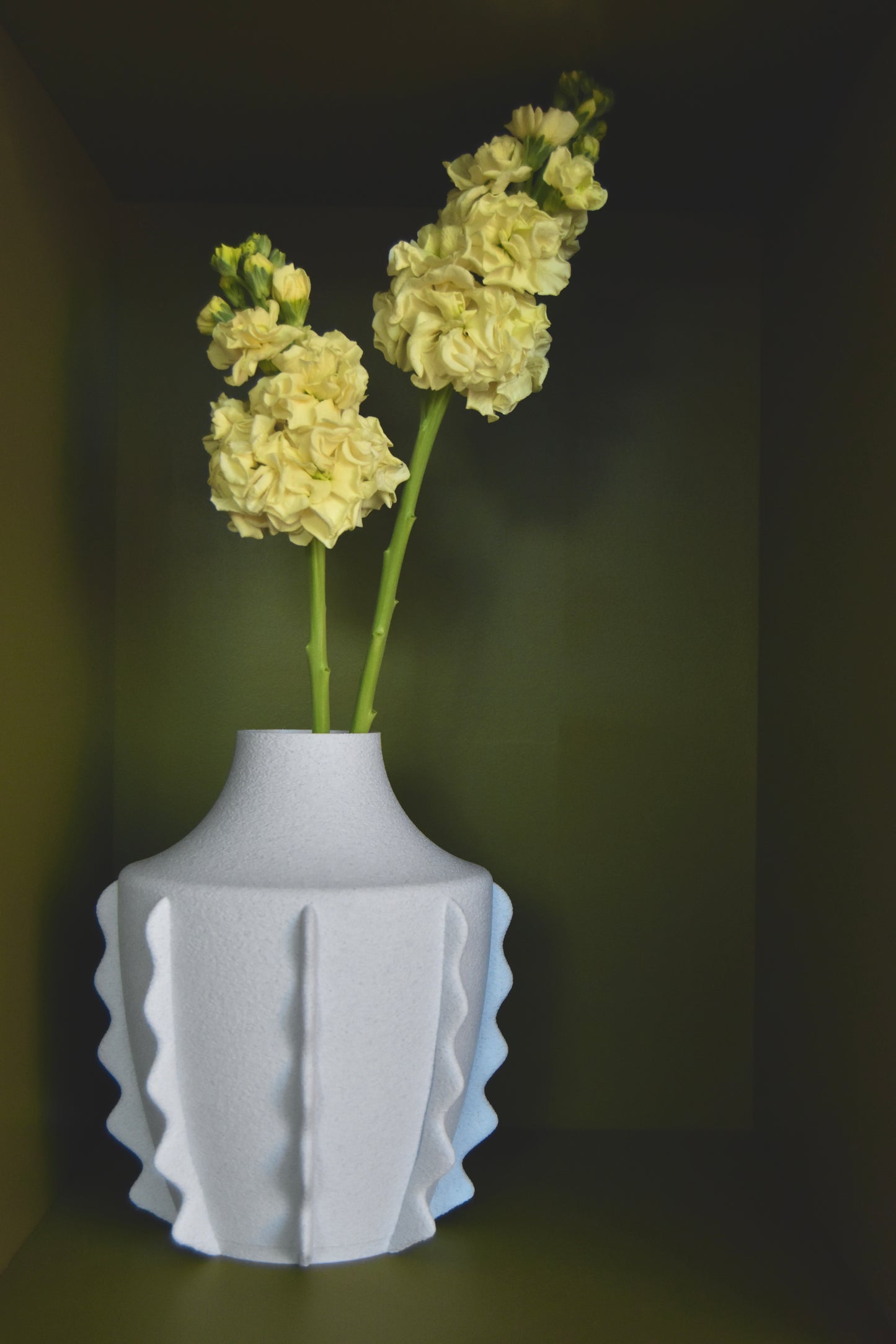 Vaso AMPHORA