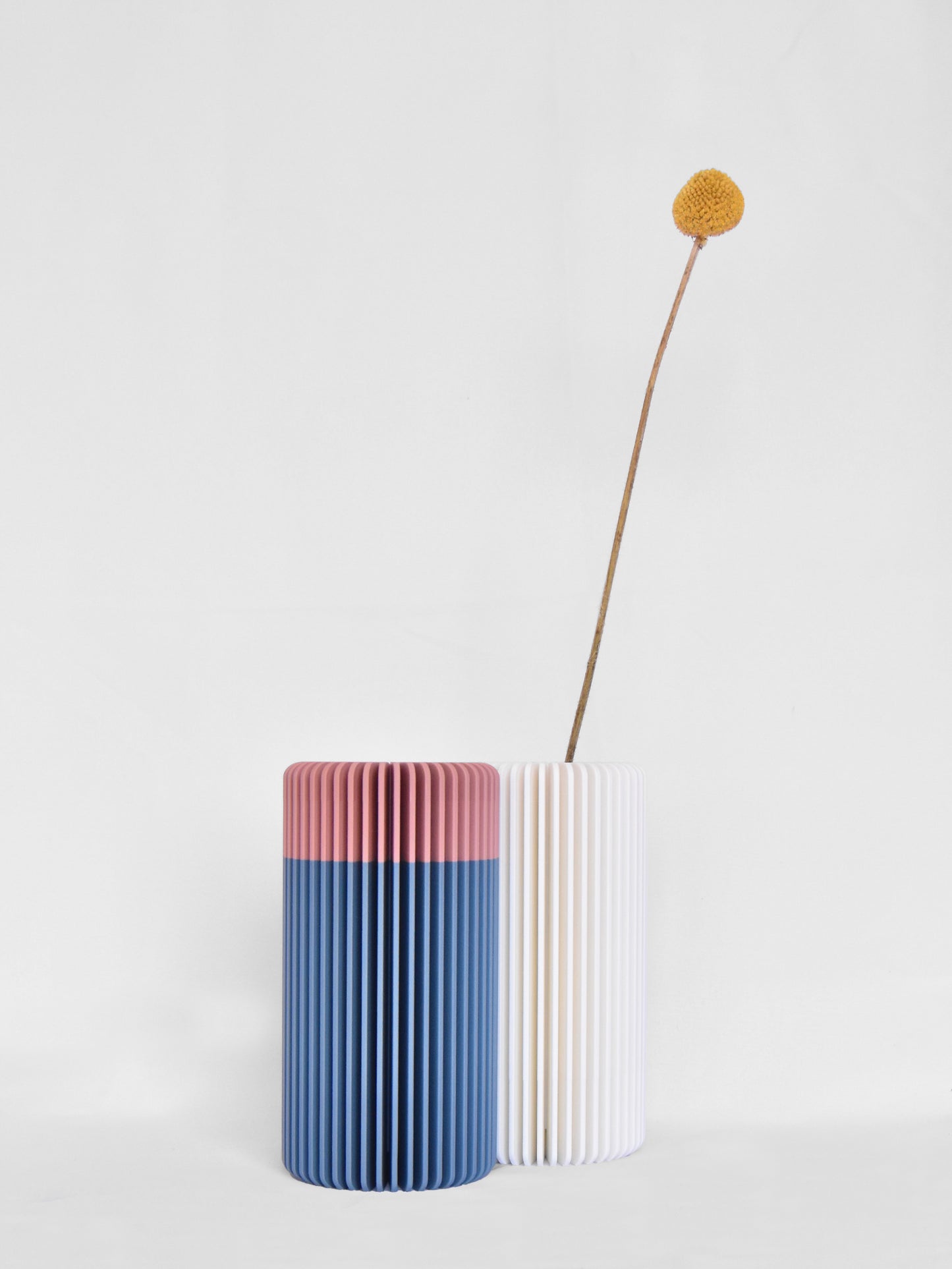 Vaso ROMA